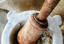 Tanti auguri ai pansoti con la salsa di noci